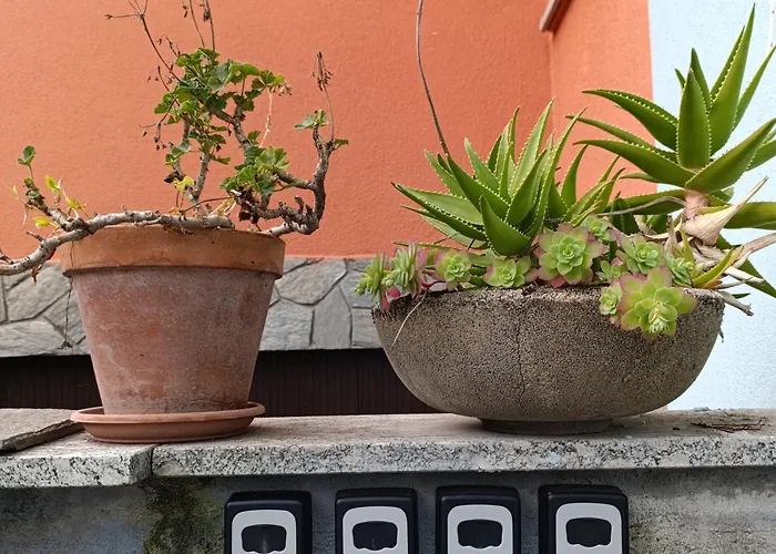 Callisto Vicino Al Con Un'atmosfera Calorosa E Giardino شقة